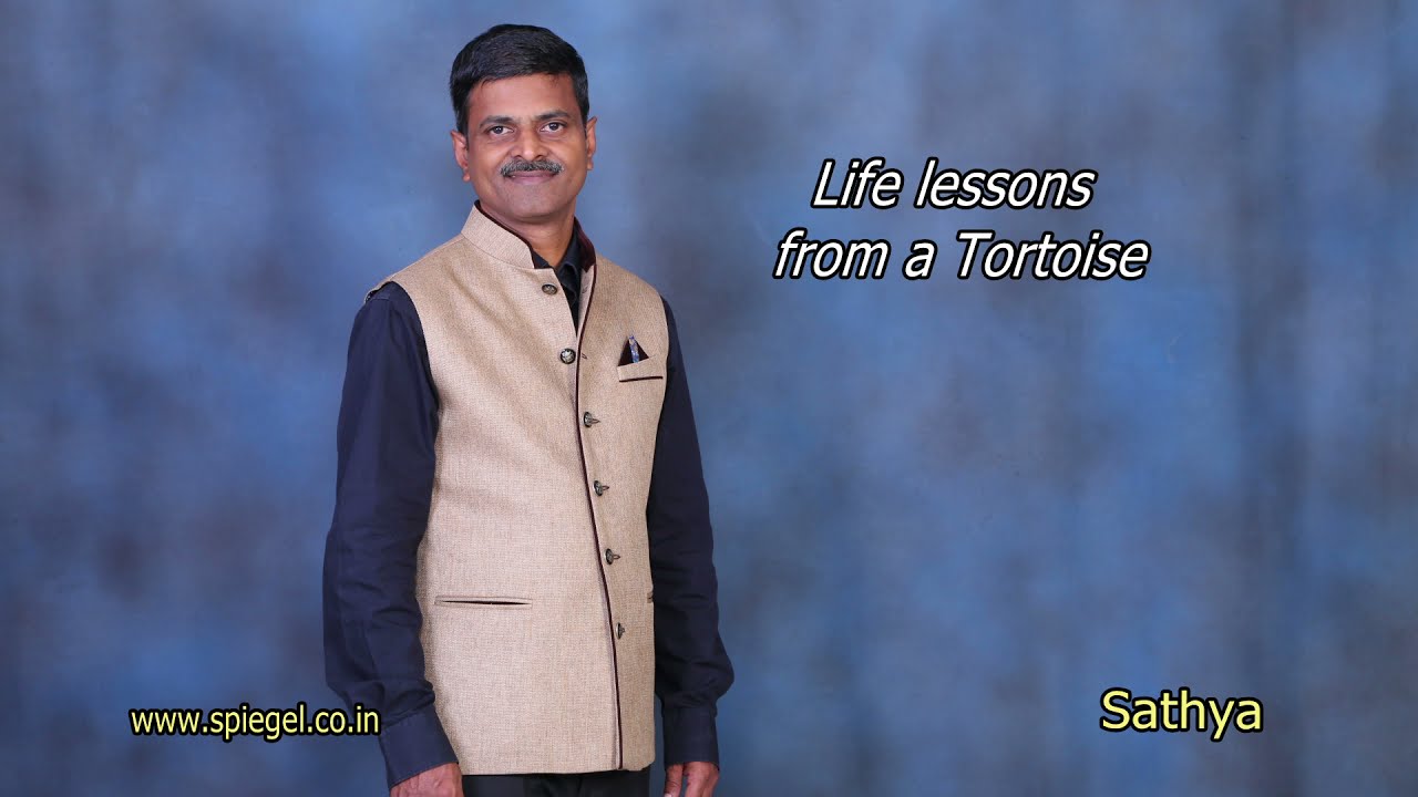 Life lessons from a Tortoise