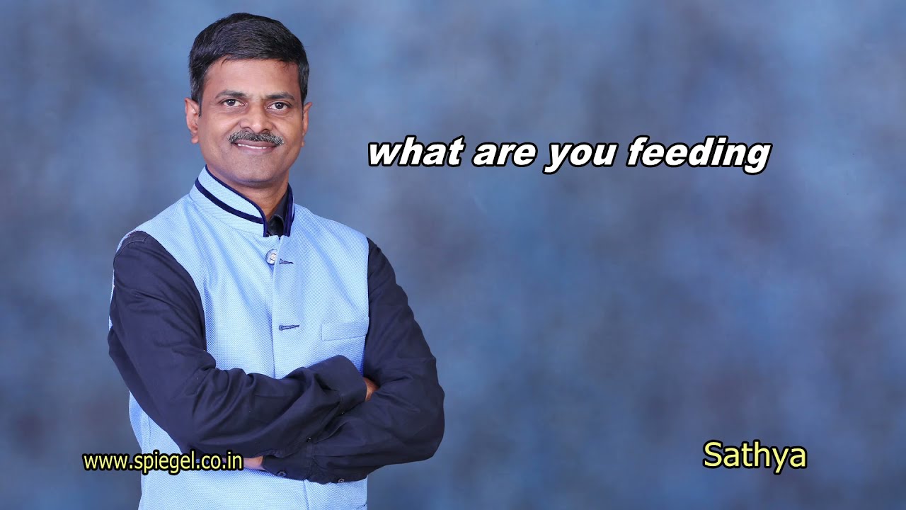 What are you feeding